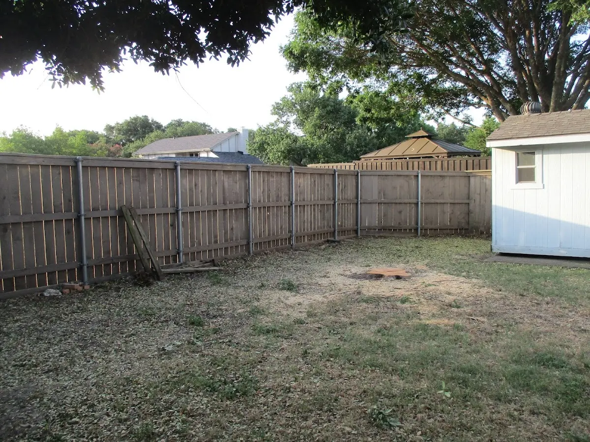Cleared yard after professional tree removal in Ohkay Owingeh